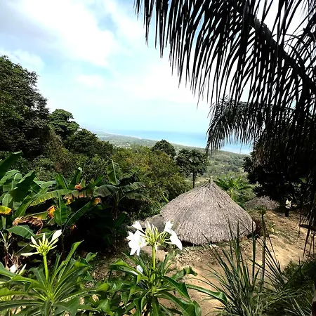 Puerto Alto Hotel Buritaca Exterior photo