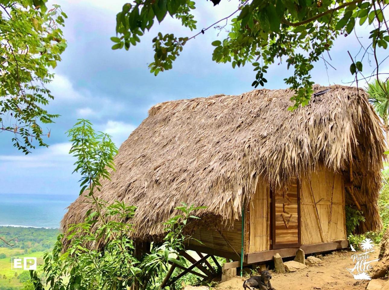 Guest house Puerto Alto