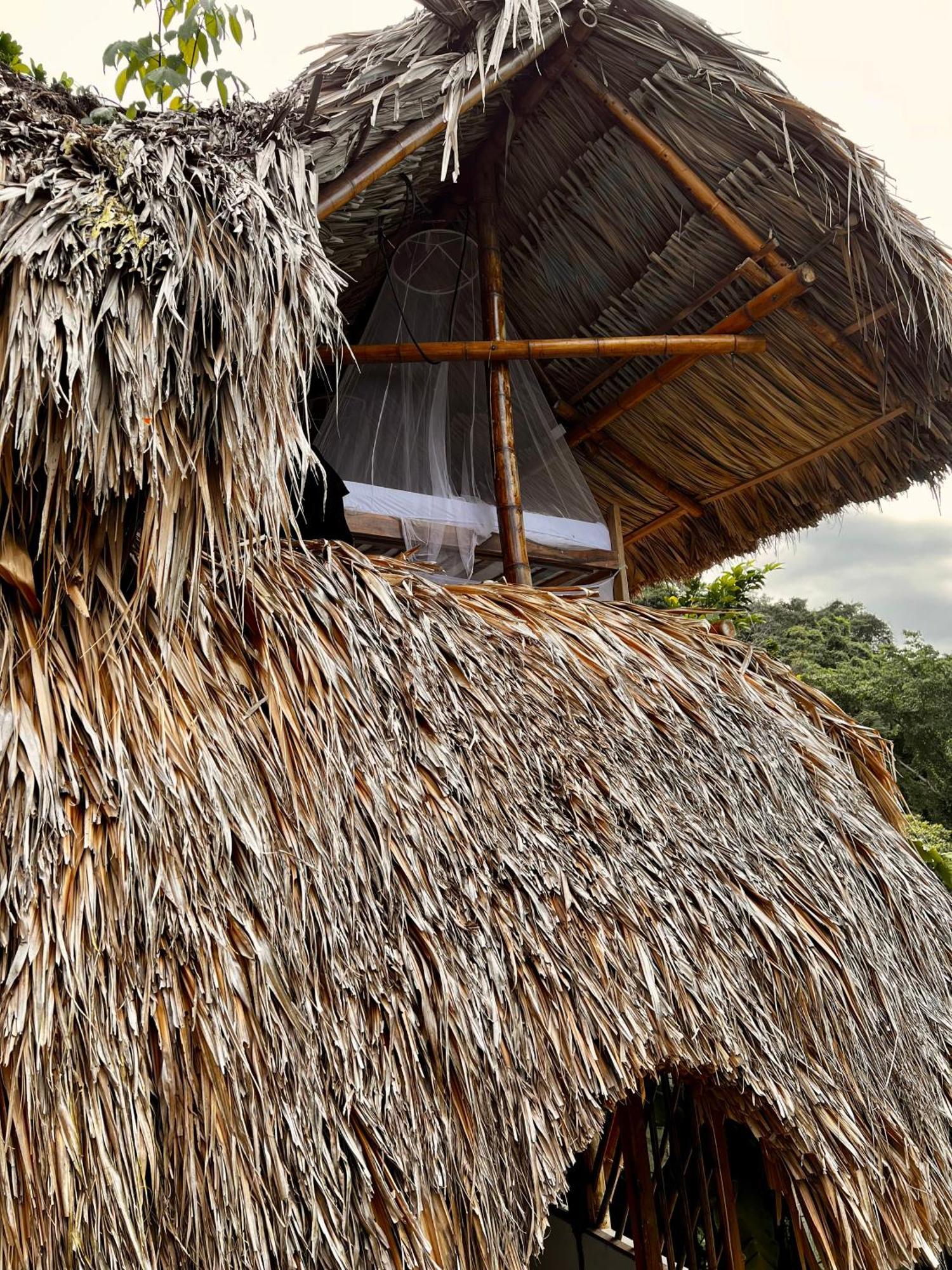 Puerto Alto Guest house *