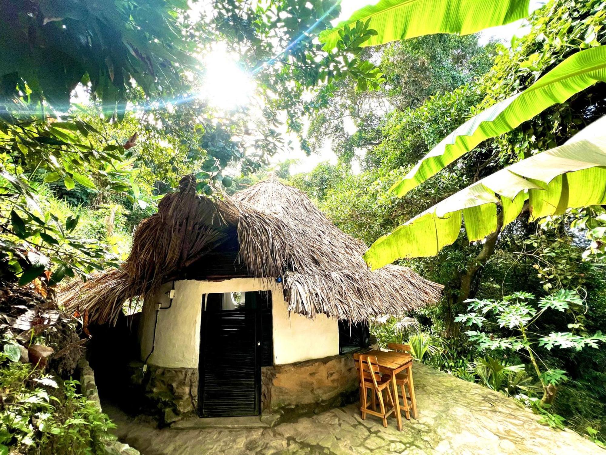 Puerto Alto Guest house Buritaca